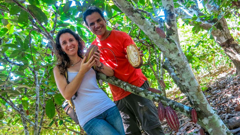 Café, Cacao y Majambo en la Selva Peruana